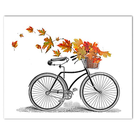 SeattleEBike's tweet photo. Happy Thanksgiving! https://t.co/1Ulgk0Wo53
