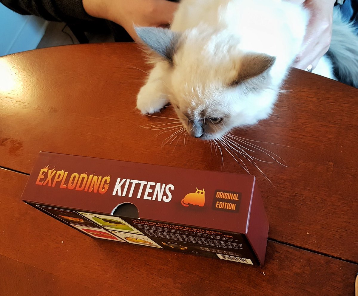 SSipkin's tweet photo. Wait... What??? #ExplodingKittens #WaitWhat https://t.co/sJepz8EiQS