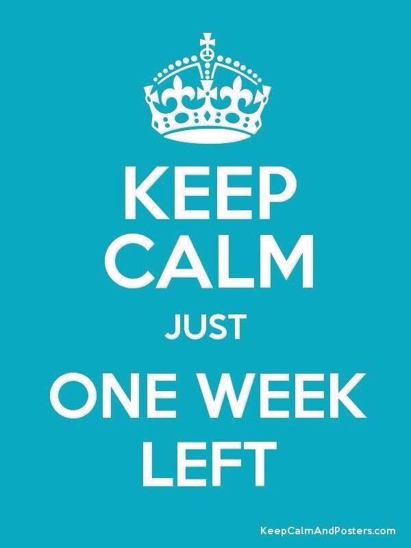 quedrex's tweet photo. 7 sleeps until summer! Congratulations to all Year 12 students who completed their studies this week :) https://t.co/g1ddb3Ca0m