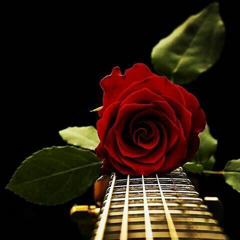 As___t22's tweet photo. #عشق_النايفه_للدعم. ٰ
إمسح الخطأ لأجل الأخوّة 
ولا تمسح الأخوّة.. من أجل الخطأ

وعندما تتعرض لإساءة:
فلا تفكر بأقوى رد
بل فكر بحفظ الود https://t.co/blrRDVbyRt
