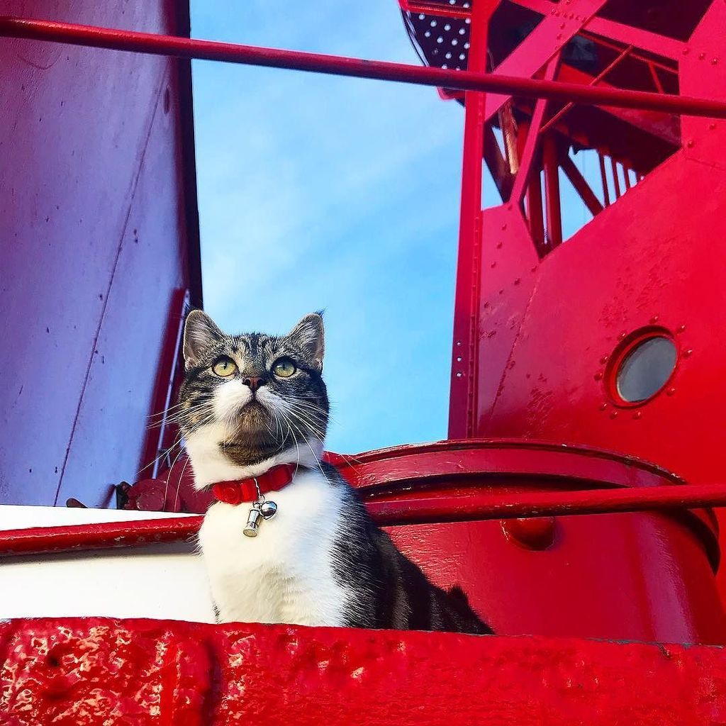 Lightship95 tweet media