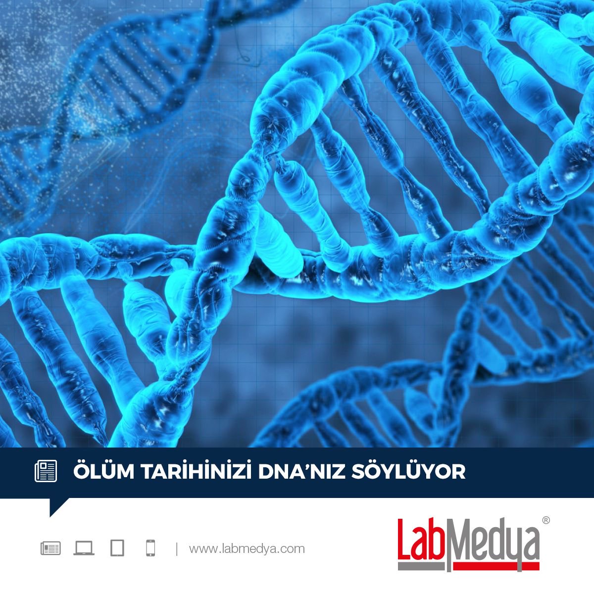 labmedya's tweet photo. Kaç yaşına kadar yaşayacağınızı öngörmek istemez miydiniz? -> #LabMedya #LabMedya44 #LaboratuvarGazetesi #SaglikGazetesi #yasambilimleri #DNA #biyolojikyas https://t.co/mcf9foQOUU