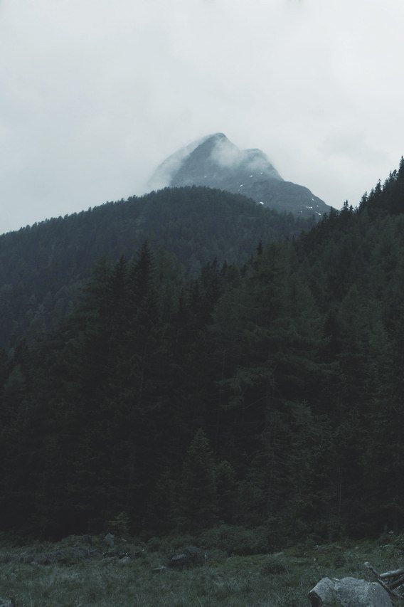 dementiaraecox's tweet photo. #Dark_forest https://t.co/wJEeJhKBUI