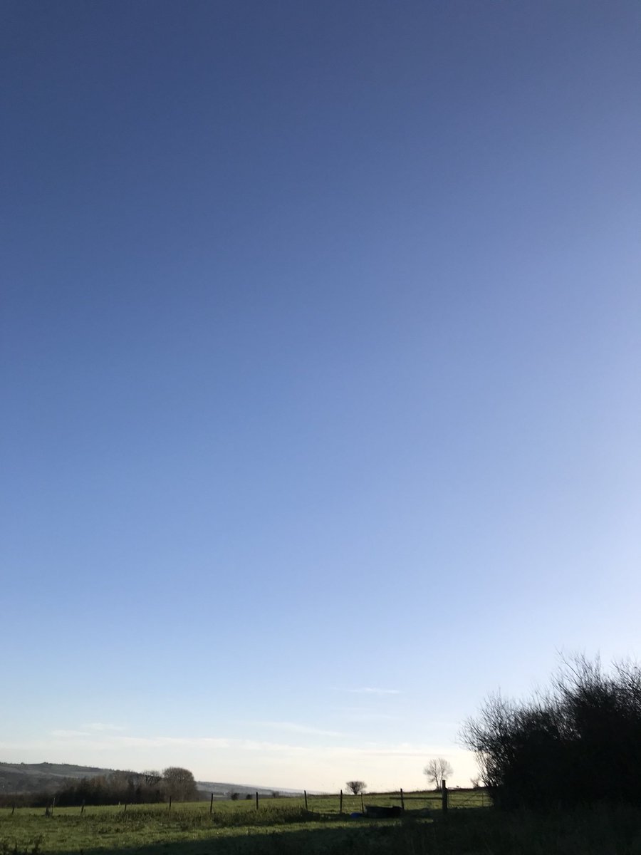 davidhieatt's tweet image. A fine morning. A fine frost.