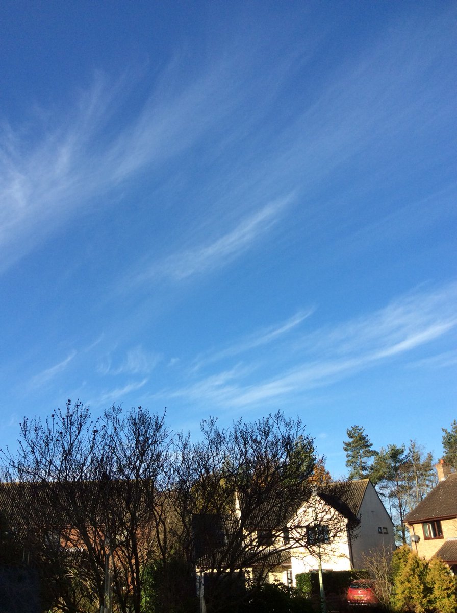 roberts_jenifer's tweet image. Today is so magic, bright sun, blue sky, enjoying the little rose rescued from the garden before the frosty night which is forecast! #HappyThanksgiving2017 all.