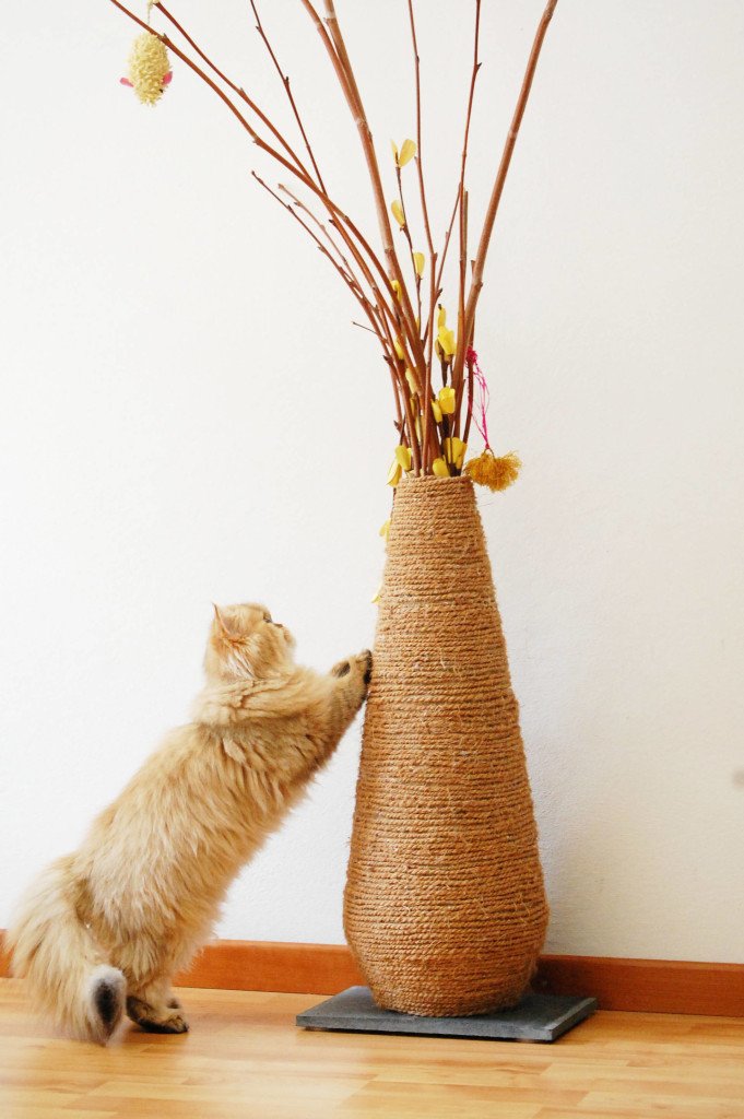 Kattenconsult's tweet photo. Weer zo'n goed doehetzelf idee! Deze vaas is omwikkeld met sisal, vastgeschroefd op een plank en verzwaard zodat hij niet omvalt: https://t.co/al67LFlWDB https://t.co/fMUawPfEbn