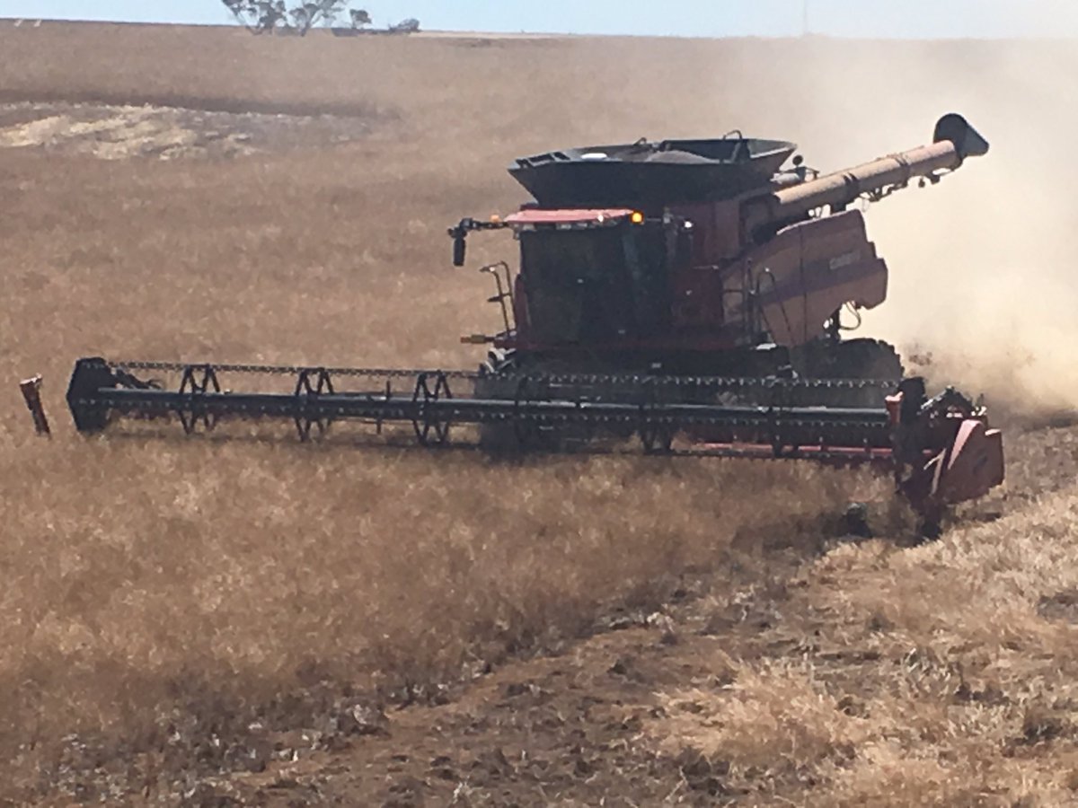 BRADLEYPHARRIS6's tweet photo. Thanx 2 @Farmers1978 for the demo of jcb n 8240 with @seed_terminator in it today at ours n yesterday at nyabing comm crop cheers https://t.co/klCc9Ctgdc