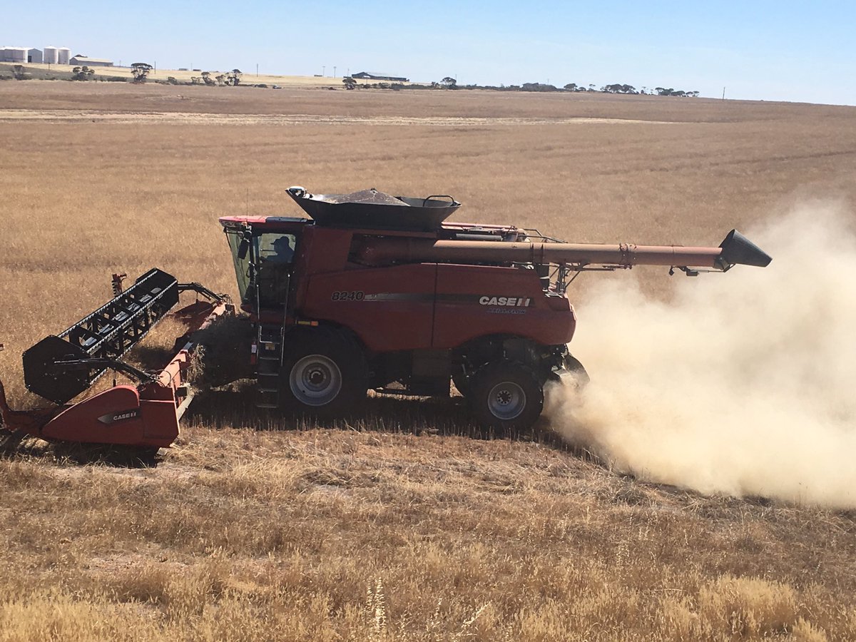 BRADLEYPHARRIS6's tweet photo. Thanx 2 @Farmers1978 for the demo of jcb n 8240 with @seed_terminator in it today at ours n yesterday at nyabing comm crop cheers https://t.co/klCc9Ctgdc