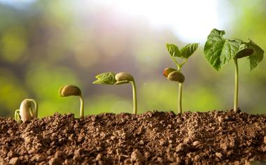 Biofortis_Fr's tweet photo. 10 jeunes pousses à voir au Start-up Innovation Challenge / @Processalim https://t.co/9XqtsF10ro #FIE17 : Alver Golden Chlorella, Algobiotech, Koupe, Nutrition Innovation, Duplaco, Flying Spark, GMR, Mazza Innovation, Innovopro, Chromologics https://t.co/XSlbzknU7k