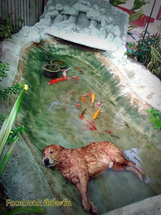 violettewautier's tweet photo. เพื่อนส่งมาให้.... ขอบคุณนะแก https://t.co/eAeF5mK7wS