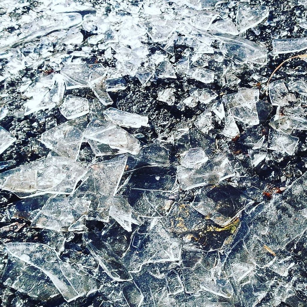 maaaatchy's tweet photo. 日本海側は雪積もってたけど、
こっちはまだ水たまりの氷が溶けない
ぐらいということはある意味感謝。
#frozenpuddle #november #winter https://t.co/LaETI0yvv5 https://t.co/hTKJUMV0XV
