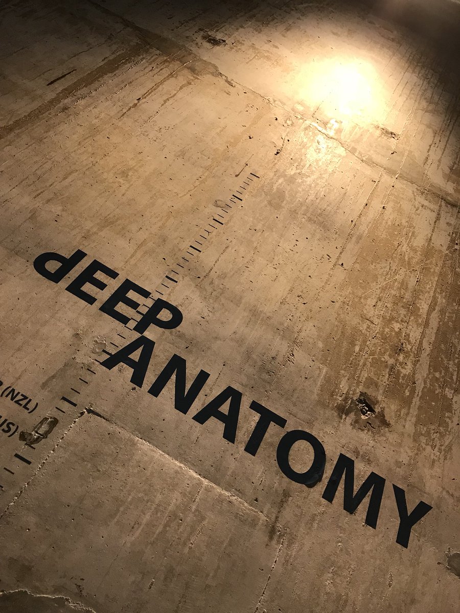 Stunning exhibition on freediving <a href="/mySiloPark/">Silo Park</a> by <a href="/sam_trubridge/">Sam Trubridge</a> called dEEP aNANTOMY