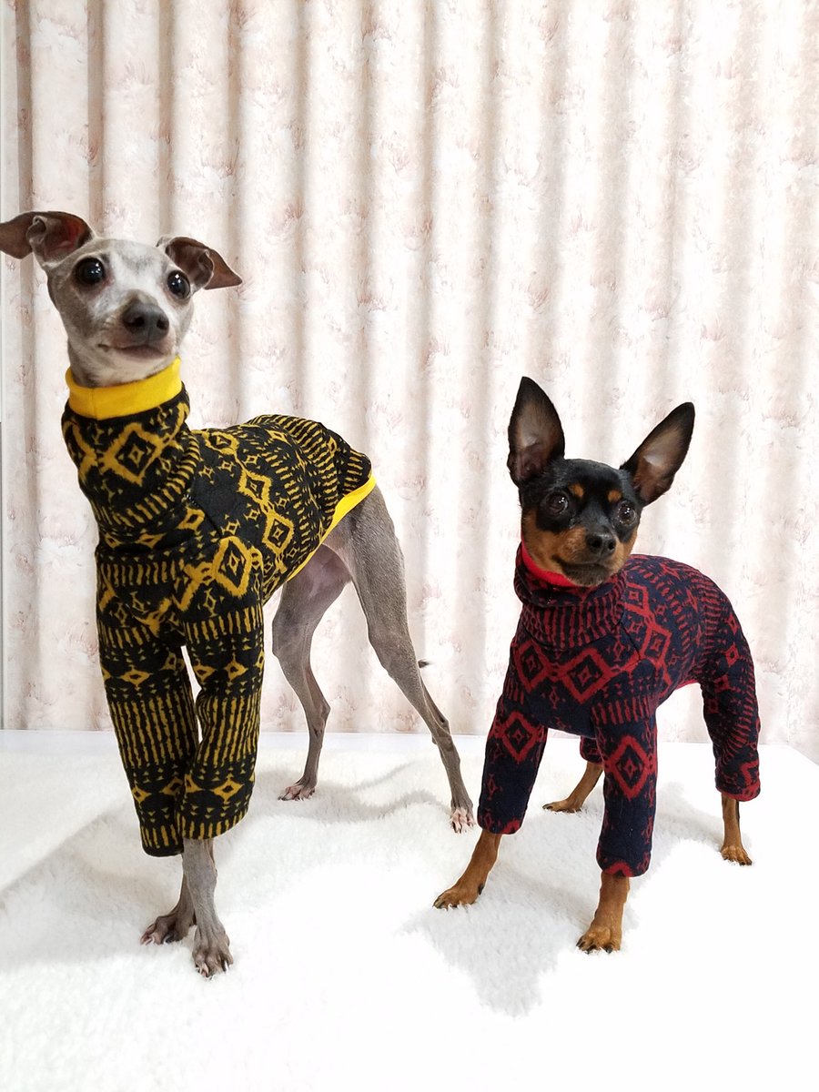 46 割引レッド系品質は非常に良い チョコ様専用 イタグレ服 ハンドメイド ミニピン使用 犬用品 ペット用品レッド系 Www Transportesenlace Com