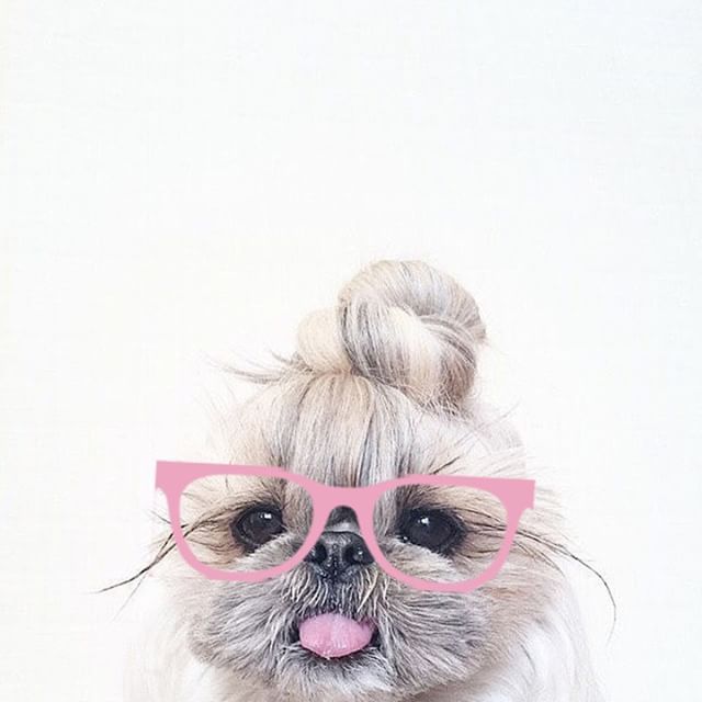 Cruelty-free and fabulous. #SkinO2ME