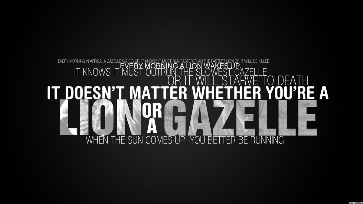 The difference between the gazelle and the lion. 🦁
One of them is running from something. 📉
And one of them is running to something.📈
#Motivation #FridayFeeling #success