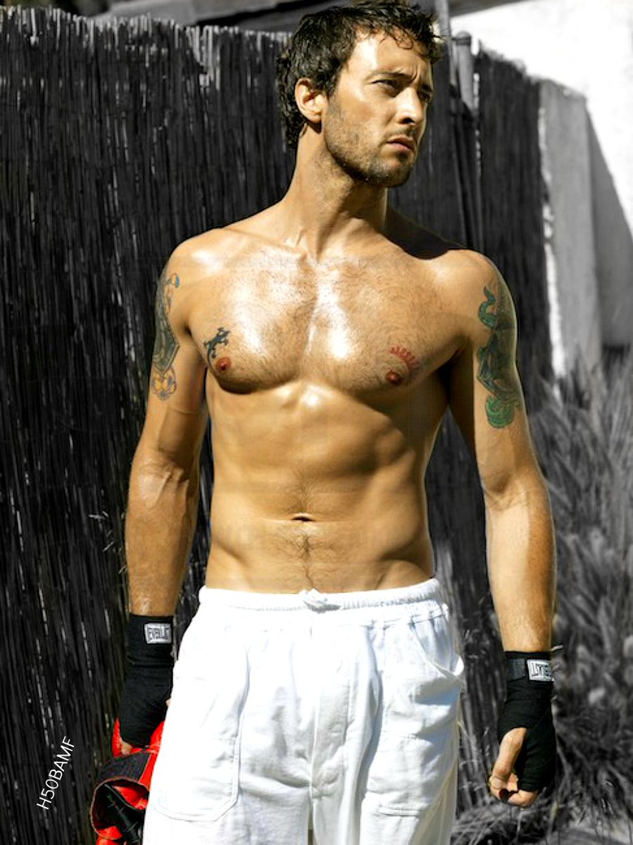 Steve McGarrett (@hybridhellhound) on Twitter photo 