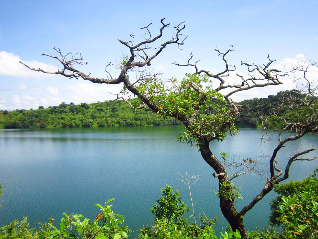 singortfss's tweet photo. Hello #Kmertravelpicspeople
Avez-vous une idée sur #woilayviews ??
Un jeune Camerounais @Desy_Danga 33ans répond à la question avec de magnifiques cartes postales.
C'est le Cameroun🇨🇲 qui gagne.
#LacTison, lac Mballang #Rhumsiki, #BoisdeMardock.#HBDGIFT. https://t.co/ZUC6EAi8FG