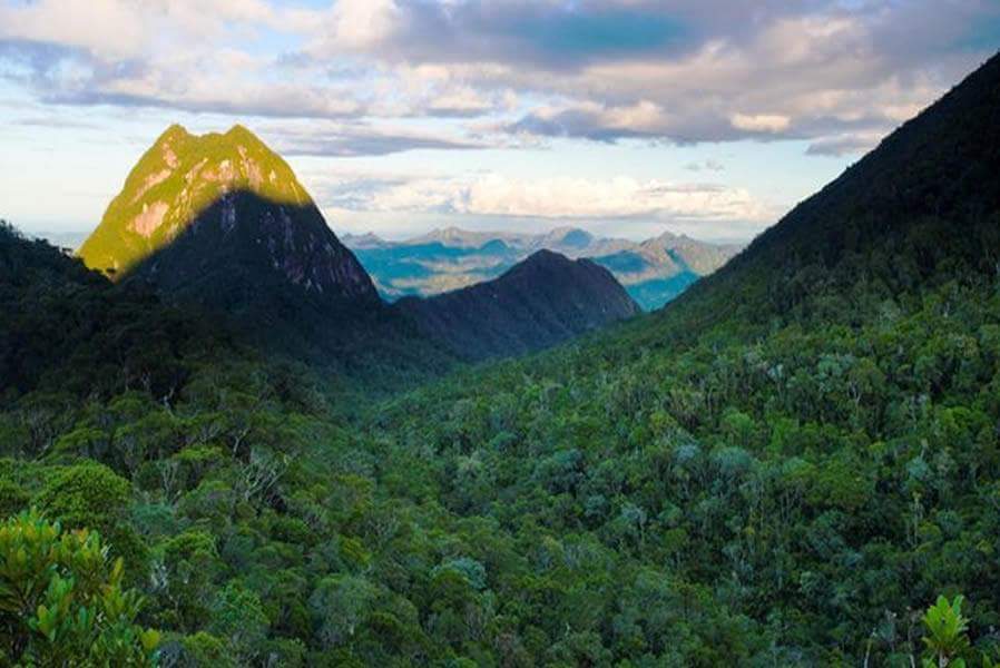 NTD_SA's tweet photo. #MASOALA #National #Park #Madagascar
Located on a large peninsula called #Masoala, the #Park is bounded to the west by #Antongil #Bay, and to the east by the #Indian #Ocean. It is a complex of protected areas covering 240,520 hectares 👍 https://t.co/0ZEW3I9A6Y