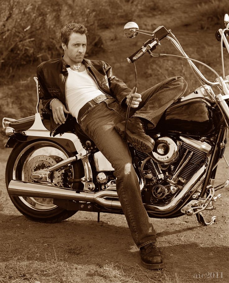 Steve McGarrett (@hybridhellhound) on Twitter photo 