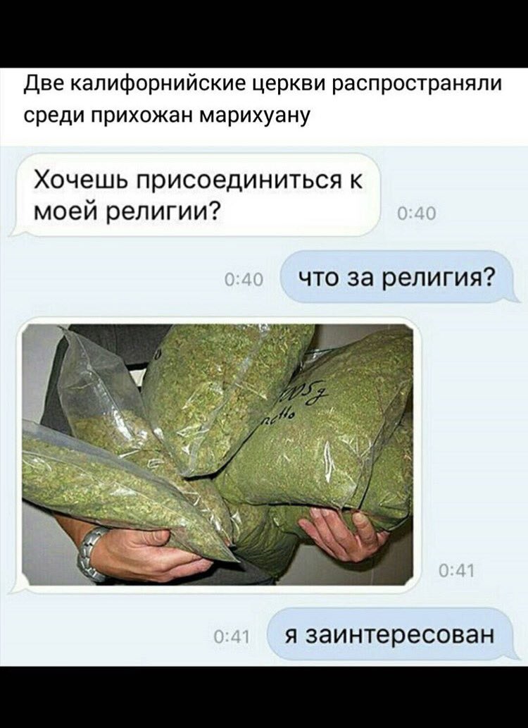 Смешные новости про марихуану Смешные новости про марихуану мое отношение к героине рассказа людочка