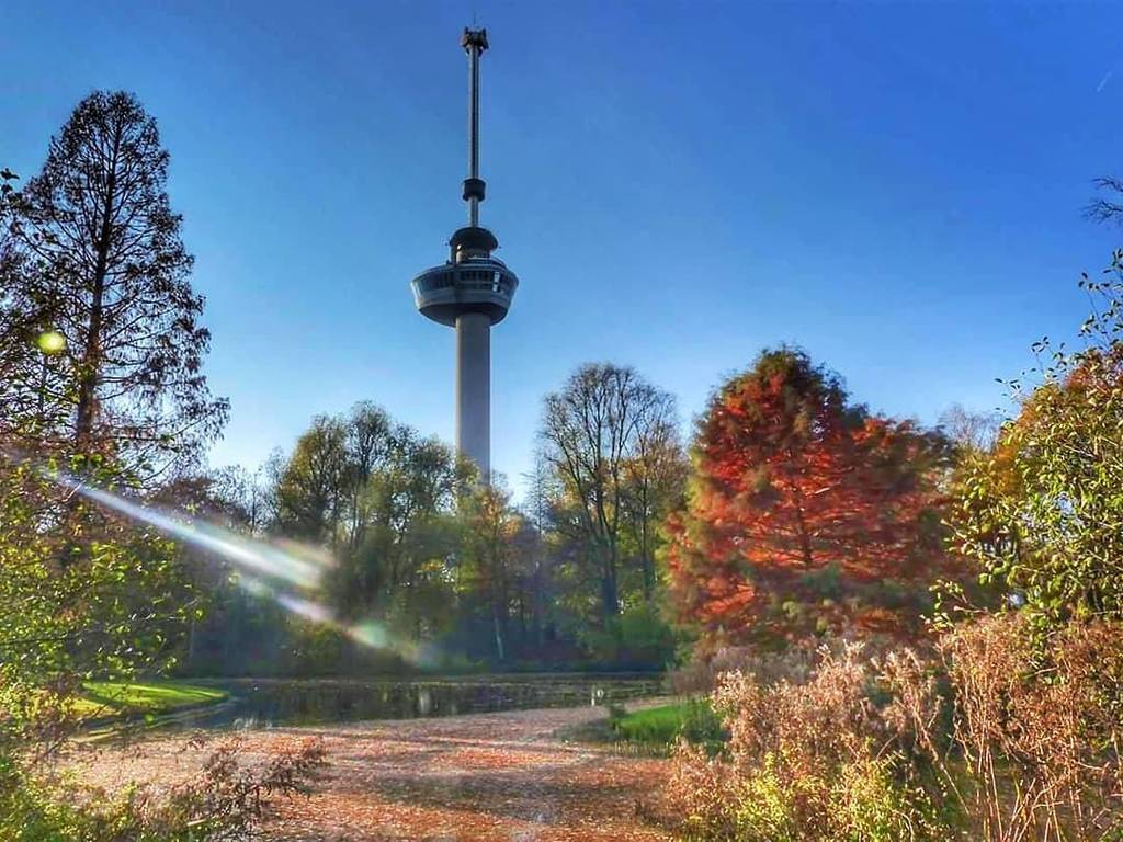 KURD_010's tweet photo. Ook Rotterdam heeft prachtige natuur! 😍
.
Foto: @worldofdreamers_wod
#euromast #rotterdambyday #rotterdam #citylife #citypark #010 #gers #rotterdamstagram #rotterdaminfo #openrotterdam #rtvrijnmond #komieuitrotterdamdan #travel #citytrip #placestov… https://t.co/zVVXPvehs8 https://t.co/AhMnqbSK25