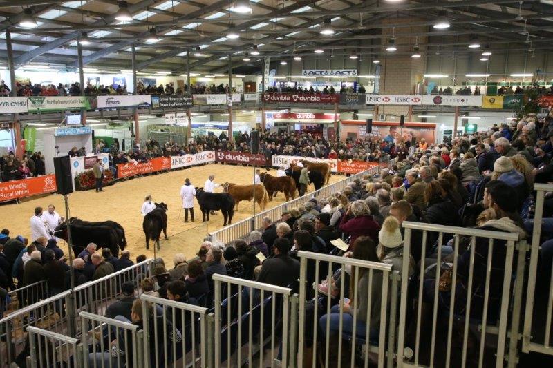 Gatiau yn agor am 8yb adeg y #FfairAeaf
Gates open at 8am at the #WinterFair