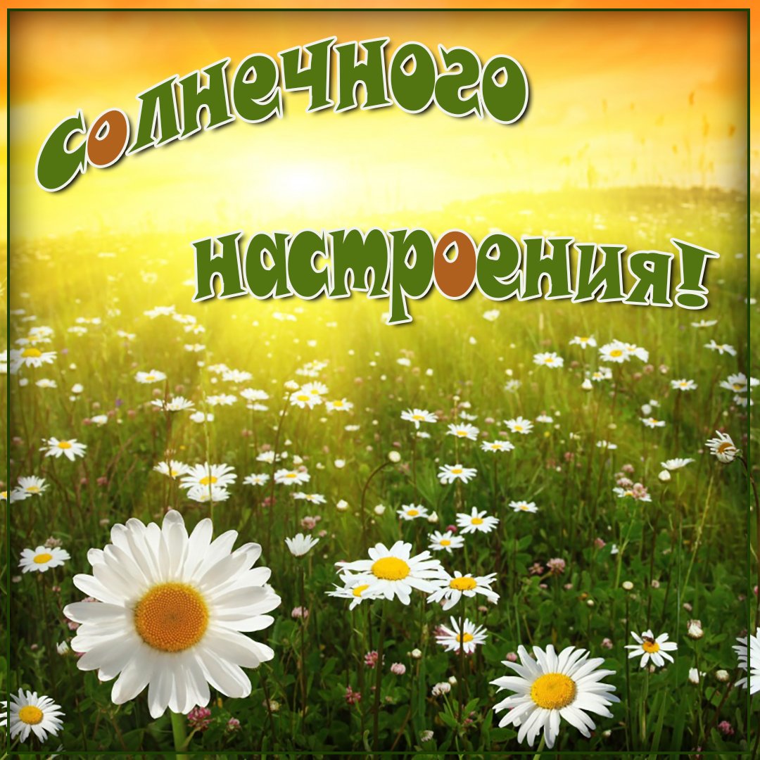 Открытки солнечного настроения