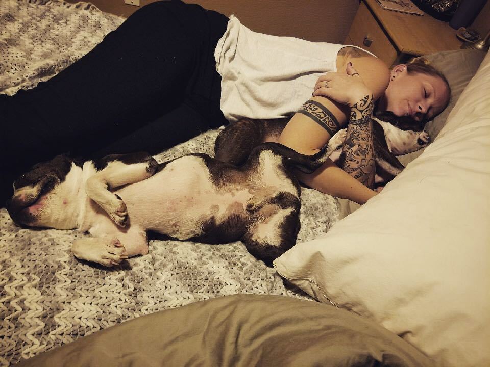 LisaW923's tweet photo. HAPPY THANKSGIVING!!!! We r pooped❤️🐶🐶❤️ https://t.co/dBiWM6uTBk https://t.co/HbDYAtyxMf