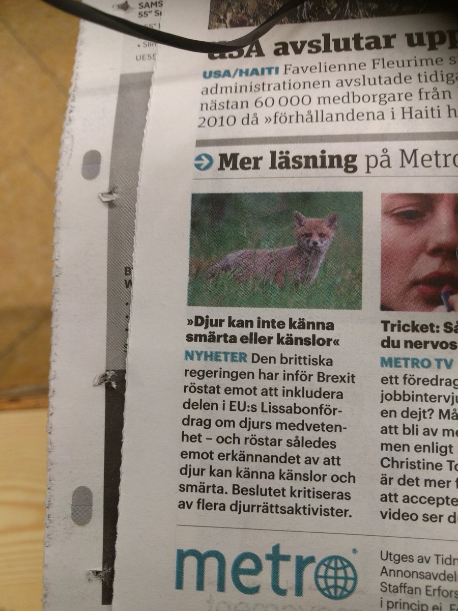 miksodo's tweet photo. Djur kan tydligen varken känna känslor men inte heller smärta.
Det dummaste jag har hört/läst på länge. https://t.co/9eMOyXzxjm