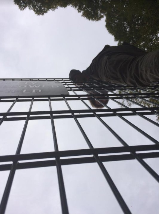 Simon_ISB's tweet photo. #lowangle #anglephotography #mslearns https://t.co/hWesbKdHi9