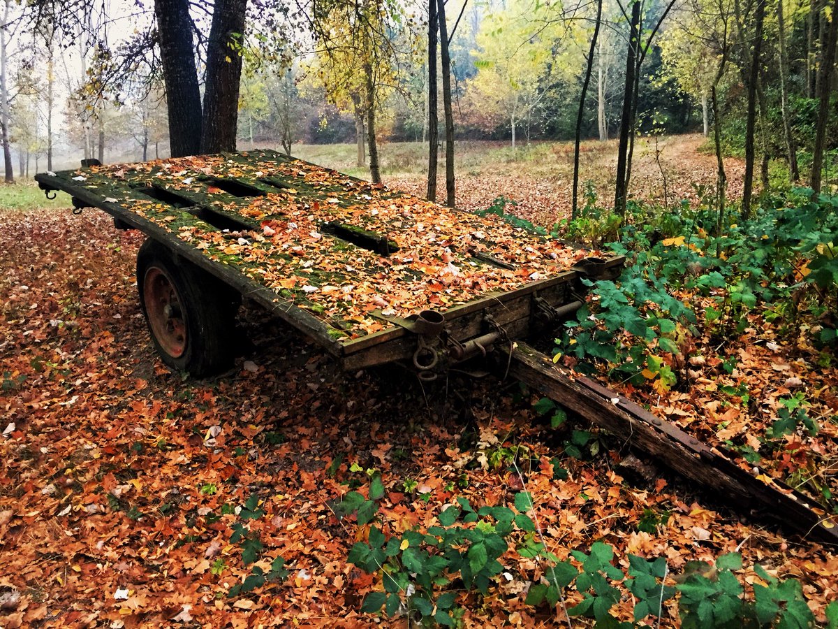 AlbeMarello's tweet photo. Laggiù, dietro a quel crinale #Monferrato https://t.co/OZG2IabWmb