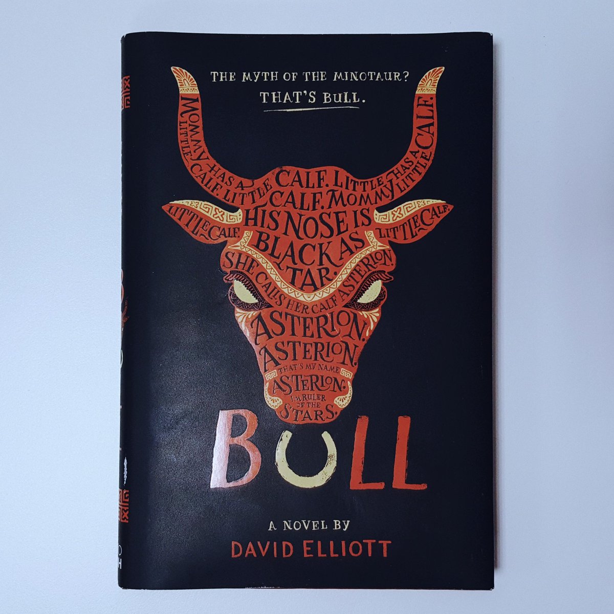 librarianer's tweet photo. Didn't know this book existed 3 days ago. And now David Elliot's Bull is one my fave reads of 2017. Like, now I'm all #TeamMinotaur https://t.co/UbFmDj6L2i