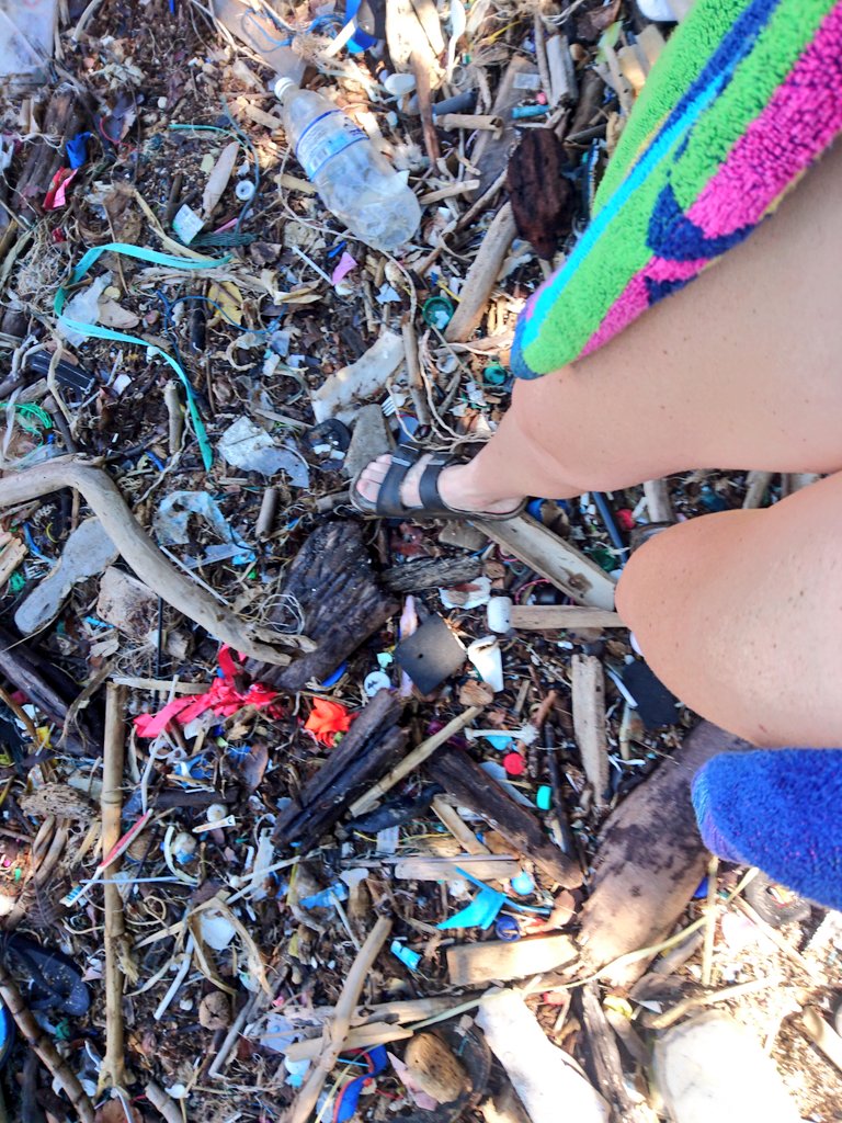 annafrosty's tweet photo. Be thankful and go outside and play. Don't be fooled into Black Friday bargains you don't need. This is what has happened now that we call shopping an activity. #dontneedit #OptOutside #FOBF https://t.co/4KhOnLRMjp