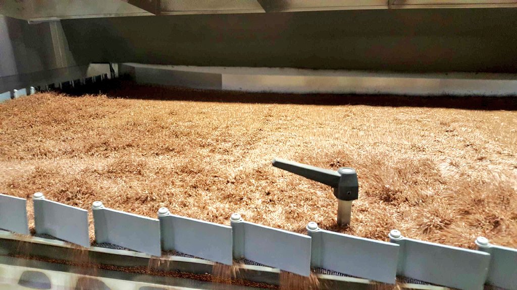 Gnis Ouest Na Twitteru Malgre Une Campagne Compliquee Du Fait Des Conditions Climatiques La Qualite Des Semences De Lin Sera Au Rdv Grace Au Travail Des Stations De Semences Ici En Normandie