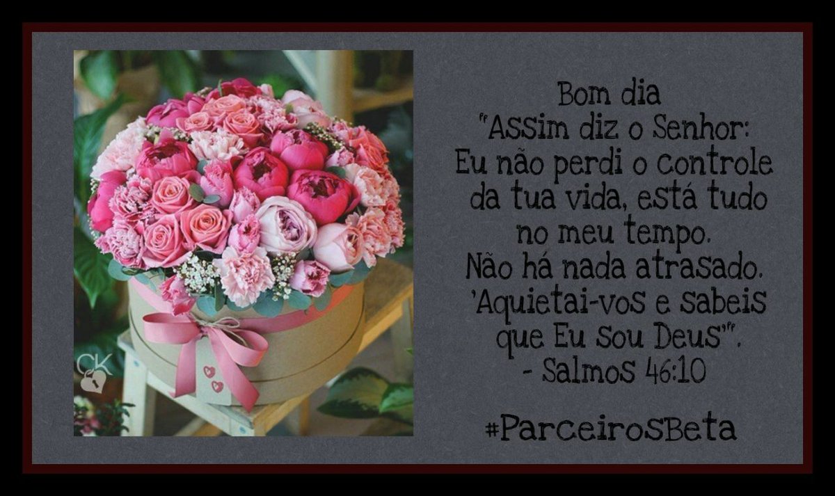 Lalá tweet media
