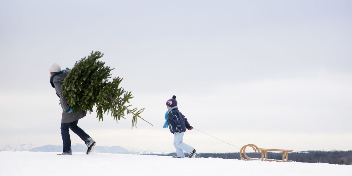 Country Living UK tweet media