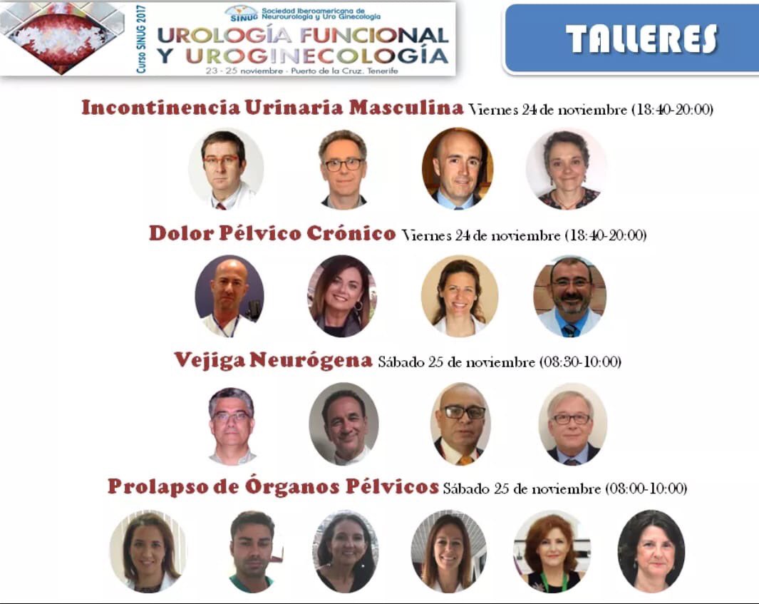 CNaranjoOrtiz's tweet photo. Aprendiendo y compartiendo conocimientos con un gran grupo internacional de profesionales... hoy toca escuchar, mañana hablaremos de #prolapsos y su manejo conservador #SINUG2017 #pelvicfloor #suelopelvico https://t.co/LZCPX7NCNY