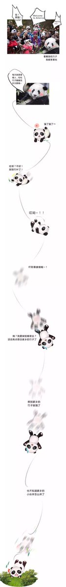 Welcome our diplomatist back home～