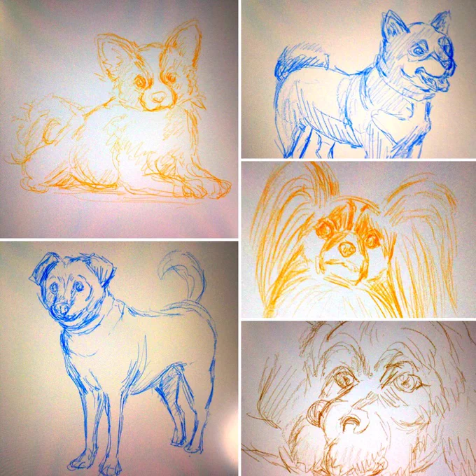 ?今日の一枚?
年賀状描く前の練習〜
ファルコンは犬でない? 