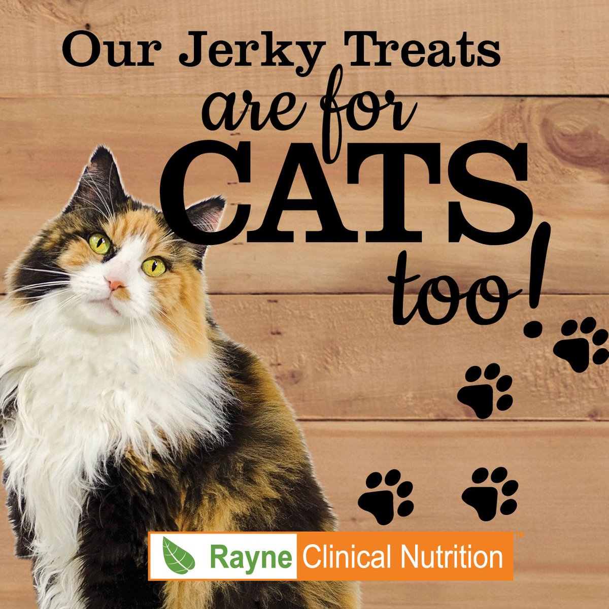 RayneWholeFood's tweet photo. #catlovers can rejoice; our #SimpleIngredient jerky treats are great for cats too.
they come in Turkey, pork, Rabbit, kangaroo, and alligator, with only a few ingredients - (99% Meat), they are a #wholefood alternative #cats will love.
ask your #veterinarian for them. https://t.co/LTyH3PpHKY