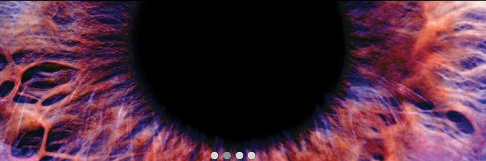 touchOPHTHALMIC's tweet photo. #Ultrasound #Cycloplasty in #Glaucoma – Mechanisms of Action and their Possible Impact on #IntraocularPressure https://t.co/A8XL3TJGbQ #CiliaryBody #UltrasoundCycloplasty https://t.co/EJDNxlPiFh