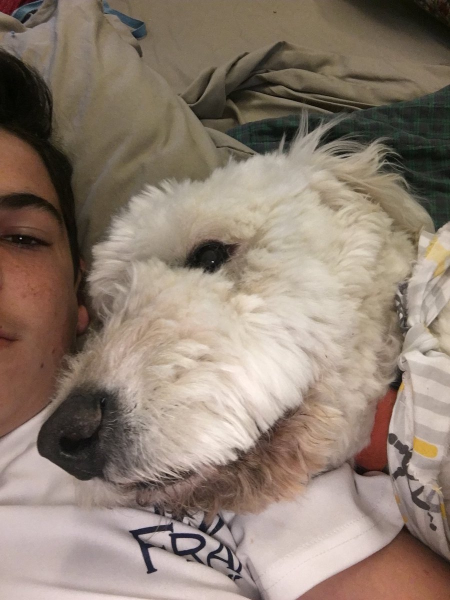DVanitvelt's tweet photo. Best friends come and go, but you stuck by me since kindergarten. I’m sorry I can’t be there to say goodbye one last time, but I love you, and thank you for everything that you’ve done for me❤️ R.I.P Comet, rest easy buddy❤️ https://t.co/G6c4fZqtC3