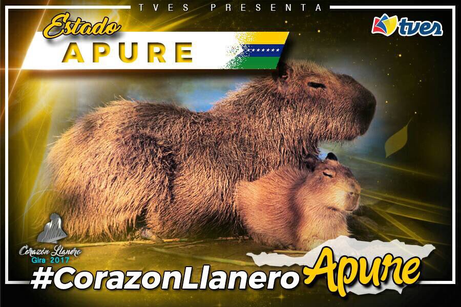vwinstonv's tweet photo. La Av. Carabobo de San Fernando, estado Apure será el sitio de encuentro hoy #24Nov para disfrutar de los mejores exponentes de la música llanera con el concierto #CorazonLlaneroApure. ¡Imperdible por las pantallas de @TvesAlDia! https://t.co/XrlcxKLAhN