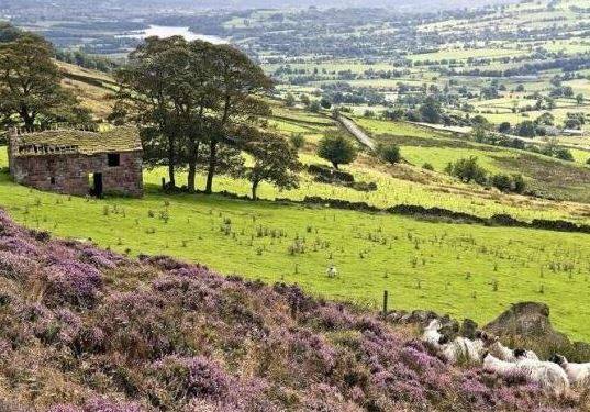 TheHolidayCots's tweet photo. This #charming #holidaycottage is nestled within the #Staffordshire #Moorlands & is only a short drive from #Leek & the many places of interest in this part of #England.
https://t.co/ZCzfqP9La9
#Meerbrook #ThePeakDistrict #Travel #SelfCatering #UK https://t.co/nKG6TRRZ6G