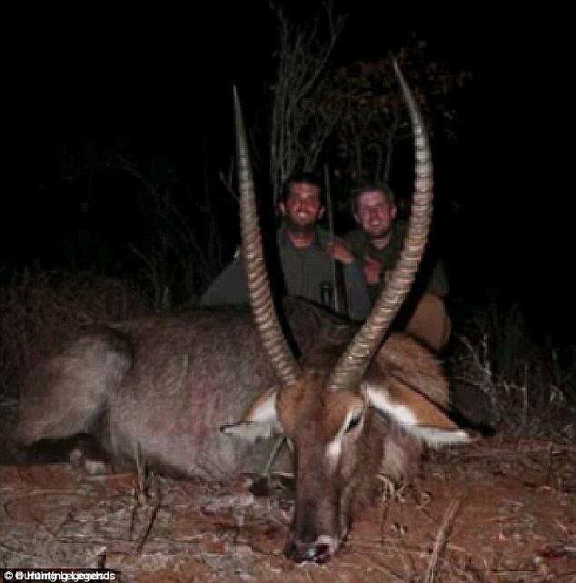 eugenegu's tweet photo. Malia Obama doesn't, you know, slaughter endangered animals. https://t.co/xIbtv3N3uk