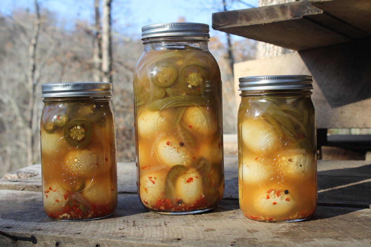 Elsewhere_Farm's tweet image. Elsewhere Blog: A Pickling Story #homesteading #chickens #eggs #pickling #canning #freerange elsewhereliving.blogspot.com/2017/11/toward…