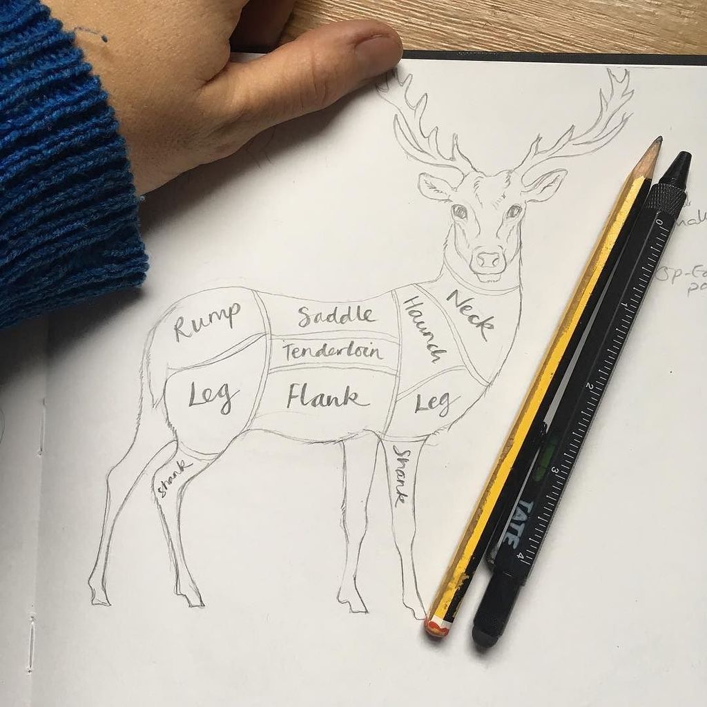 GeorginaLuck's tweet photo. Sketch for National Geographic Food magazine...out soon!
#sketch #drawing #food #meat #cutsofmeat #haunch #venison #fooddrawing #commission #magazine #nationalgeographic #georginaluck https://t.co/ZAUjeXSRkA https://t.co/daXmCGl9KY