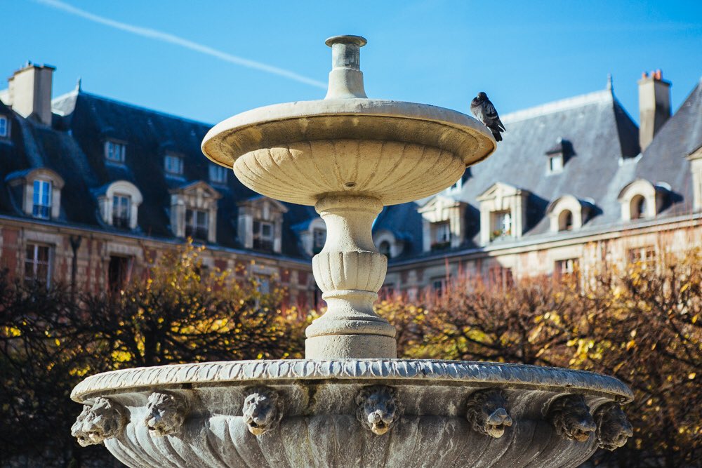 parispics's tweet photo. Even in November Paris offers wonderful sunny days for Photo tours! ☀️ https://t.co/wMF8lY77Y2