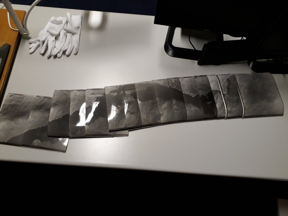 Lucio Marcello tweet media