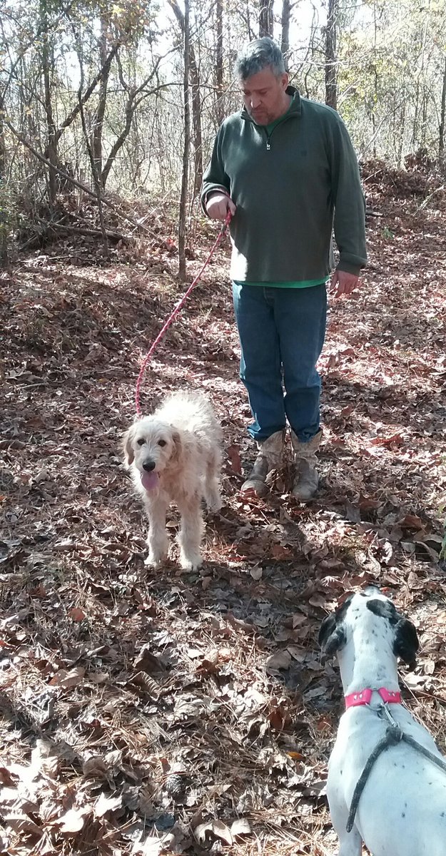 Big River Kennels (bigriverkennels) Twitter